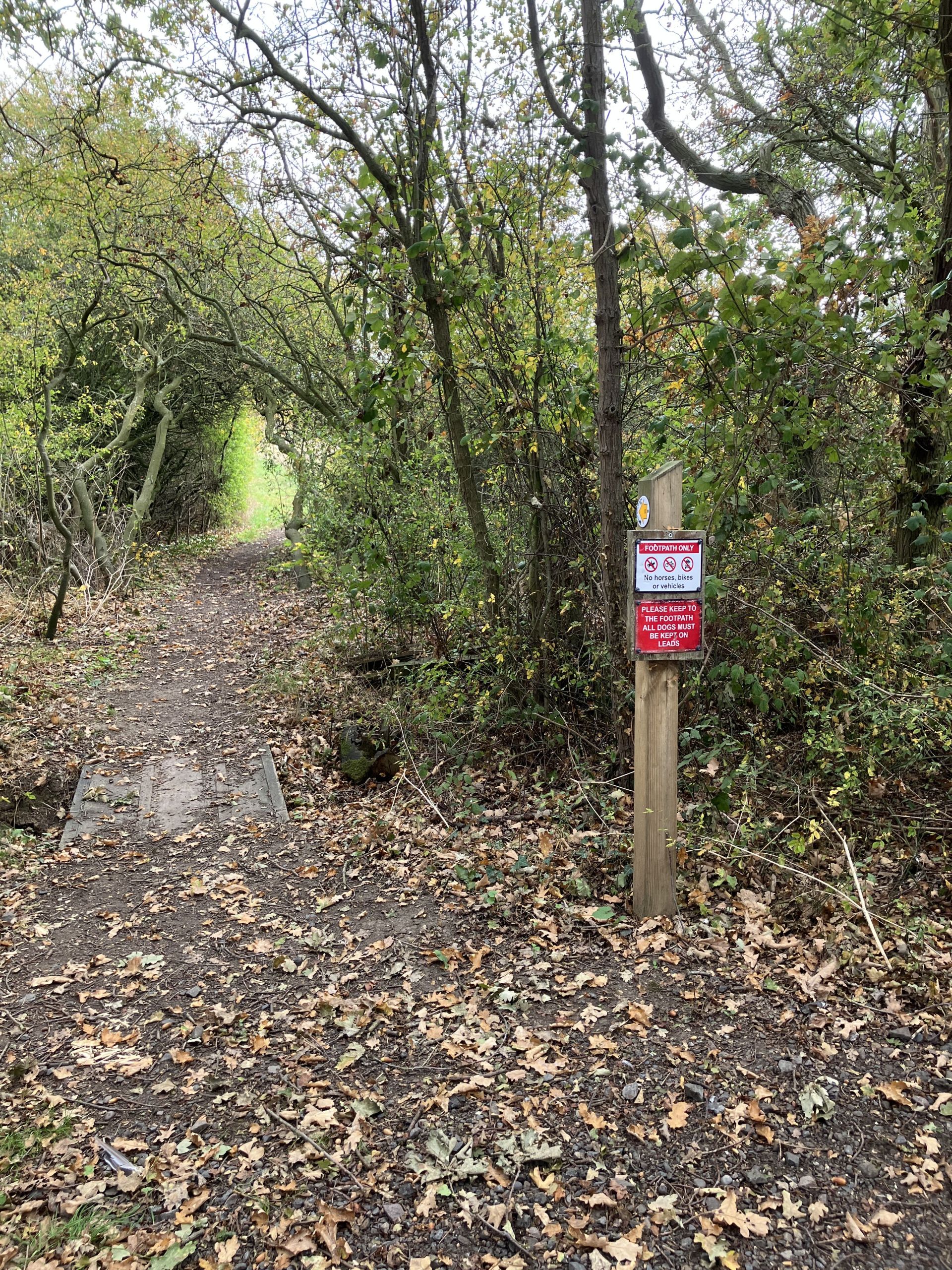 Foot path to Hockley